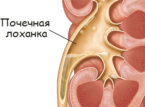 Кракен маркетплейс kr2web in