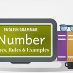 The Category of Number in English