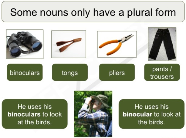 Noms utilisés uniquement au pluriel en anglais (Nouns used only in the plural)