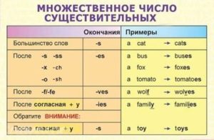 Características generales de los sustantivos en inglés